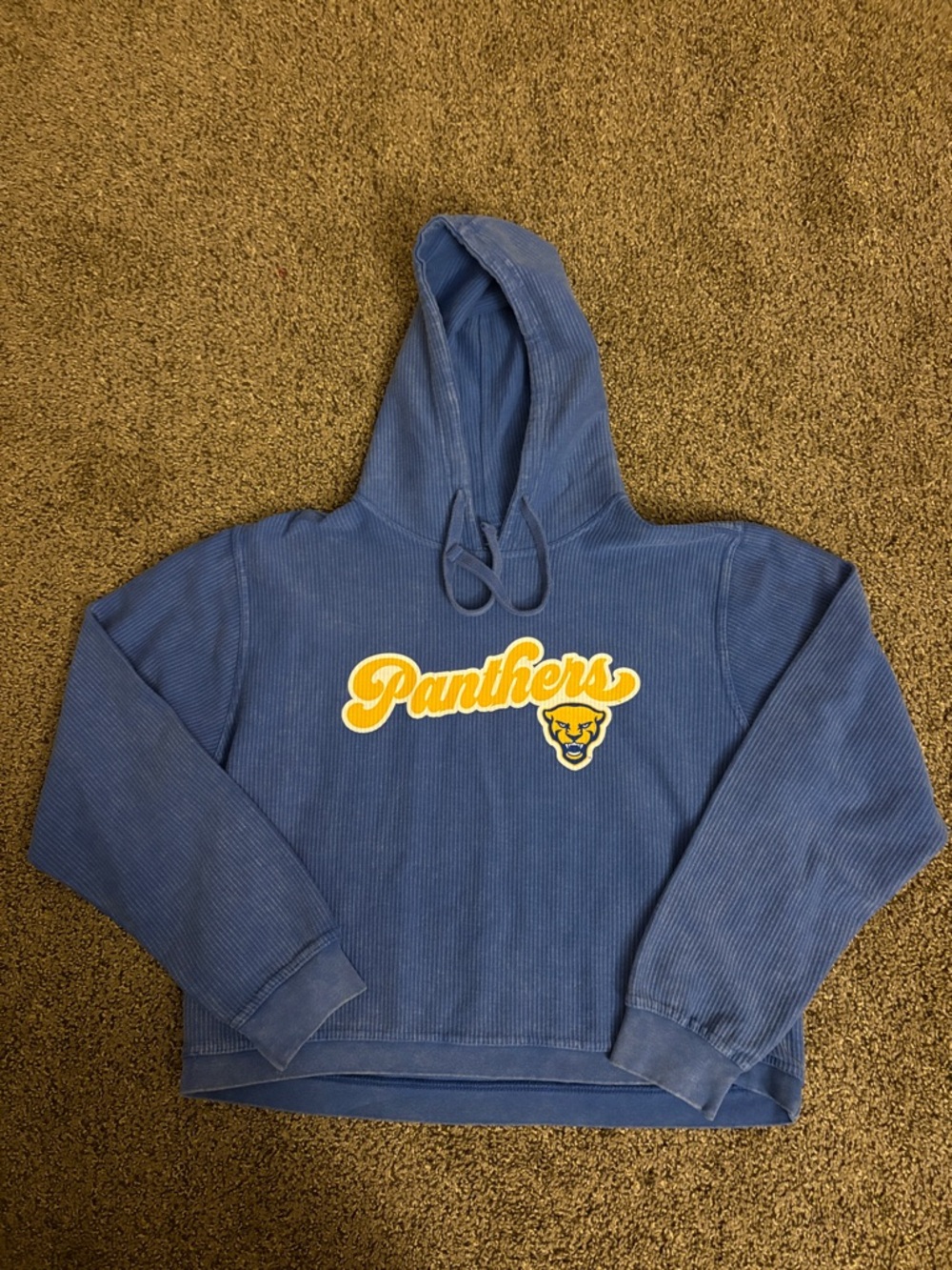 Pitt Panthers Cropped Hoodie